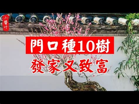 家門口種扁柏|【家門口 種扁柏】家門口種植扁柏，竟有如此神效？快來看看。